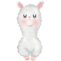 schattig alpaca lama illustratie png