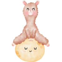 schattig alpaca lama illustratie png