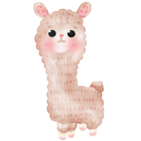 Cute Alpaca Llama illustration png