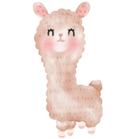 ilustração fofa de lhama de alpaca png