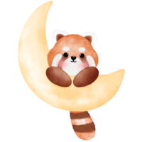 Cute Red Panda Illustration png