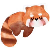 Cute Red Panda Illustration png