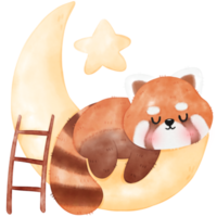 Cute Red Panda Illustration png