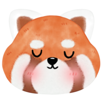 Cute Red Panda Illustration png