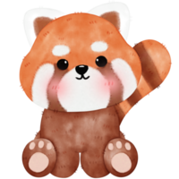 Cute Red Panda Illustration png