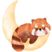 Cute Red Panda Illustration png
