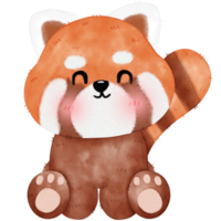 Cute Red Panda Illustration png