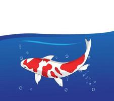 koi illustration swimming in the water vector