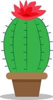 planta de cactus de ilustración vectorial vector