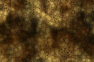 Abstract Liquid Wavy Background.Colorful Texture Surface Design.Abstract Holographic Background,Abstract Gradient Texture Background,Geometric Background photo