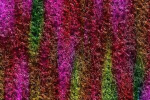 Abstract Liquid Wavy Background.Colorful Texture Surface Design.Abstract Holographic Background,Abstract Gradient Texture Background,Geometric Background,Digital Painted Watercolor texture photo