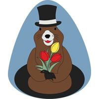 Colorful image of a groundhog in a hat with a bouquet tulip coming out of his hole. Groundhog day vector