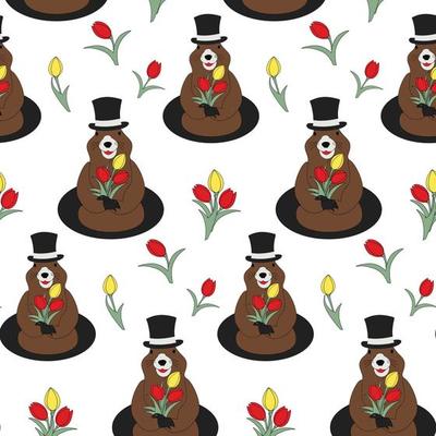 Seamless pattern of a Groundhog in a hat with a bouquet tulip in his paws and around. Groundhog day
