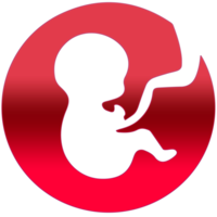 Pregnancy icon on transparent background PNG