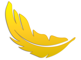 feather icon on transparent background PNG