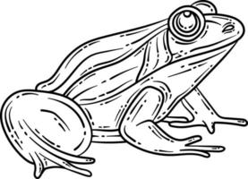 Frog Spring Coloring Page for Adults vector