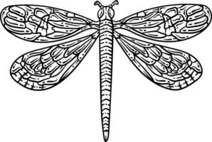 Dragonfly Spring Coloring Page for Adults vector