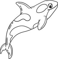 Mother Killer Whale Isolated Coloring Page vector