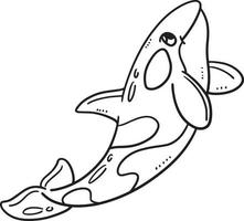 Mother Killer Whale Isolated Coloring Page vector