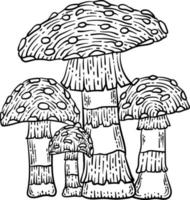 Mushroom Spring Coloring Page for Adults vector