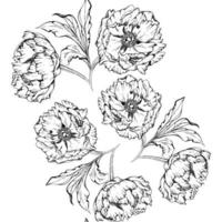 Hand drawn vector seamless pattern with peony flowers, buds and leaves. Isolated on white background. Design for invitations, wedding or greeting cards, wallpaper, print, textile, wrapping paper