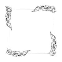 Hand drawn vector square frame wreath arrangement with peony flowers, buds and leaves. Isolated on white background. Design for invitations, wedding or greeting cards, wallpaper, print, textile