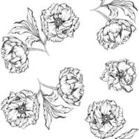 Hand drawn vector seamless pattern with peony flowers, buds and leaves. Isolated on white background. Design for invitations, wedding or greeting cards, wallpaper, print, textile, wrapping paper