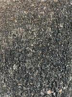 surface of an old tree trunk. side view of an tree trunk texture. photo