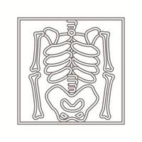 Beautiful skeleton vector line icon