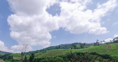 campos de arroz de lapso de tiempo en la temporada de cosecha bajo un cielo azul claro, vista de los campos de arroz de los campos agrícolas de arroz dorado con fondo de cordillera natural verde bajo la llamarada del sol video