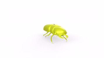 bug isolated on white video