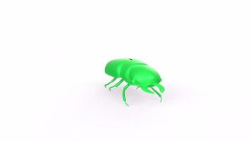 bug isolated on white video