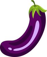 Fresh purple eggplant isolated on white vector