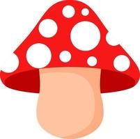 Red mushroom isolated on white vector