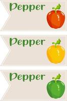 Set of three pepper blank label sticker vector