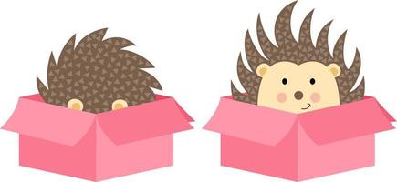 Cute hedgehog in cardboard box vector