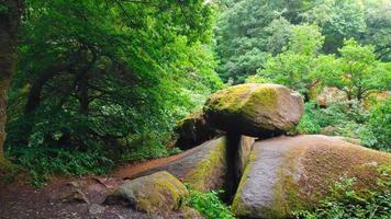 porte naturelle au blockfield dans la forêt de huelgoat video