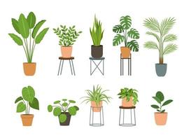 conjunto de plantas de interior. planta de interior en maceta. plantas decorativas para la decoración interior del hogar, colección floral de jardín verde vector