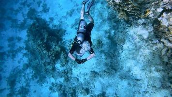 mergulho, um homem mergulhando ao longo do fundo do mar e recifes de corais no mar vermelho. video