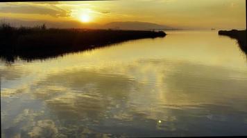 planter des roseaux et de la mer dans une belle lumière romantique au coucher du soleil video