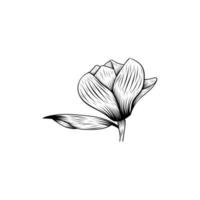 diseño floral del ejemplo del lineart de la belleza de la flor vector