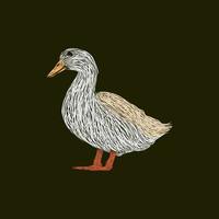 diseño de ilustración de estilo de ilustraciones de animales de pato vector