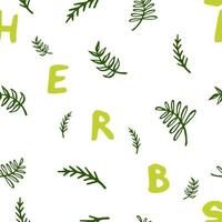 Seamless pattern with herbs on white background. Vector illustration.