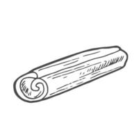 Cinnamon sticks in hand drawn doodle style. Cinnamon pods sketch. Isolated vector illustration.