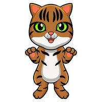 Cute bengal cat cartoon standing vector