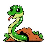 Cute green tree python cartoon out from hole vector