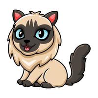 Cute balinese cat cartoon sitting vector