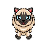 Cute balinese cat cartoon posing vector