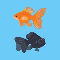 Red and black goldfish in blue background vector