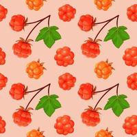 Cloudberry and leaves seamless pattern. vector